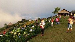 Puncak Tete Tanah Tomohon